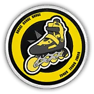 Skate Shoes