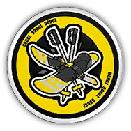 Skis